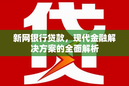大祥新网银行贷款，现代金融解决方案的全面解析