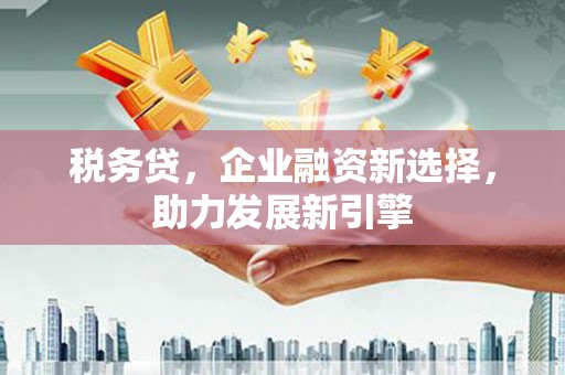 海兴税务贷，企业融资新选择，助力发展新引擎