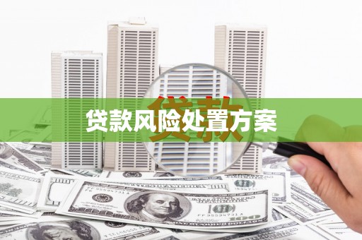 万年贷款风险处置方案