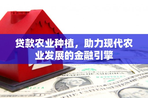 洪江贷款农业种植，助力现代农业发展的金融引擎