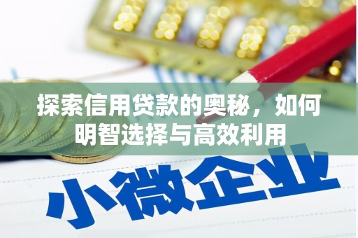 安乐探索信用贷款的奥秘，如何明智选择与高效利用