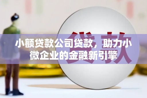宁远小额贷款公司贷款，助力小微企业的金融新引擎