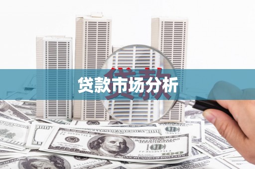 新平贷款市场分析