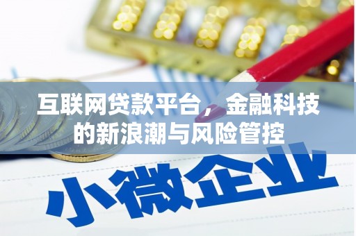 暖暖互联网贷款平台，金融科技的新浪潮与风险管控