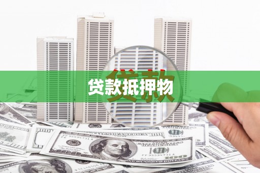 沧县贷款抵押物