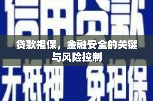 乳源贷款担保，金融安全的关键与风险控制