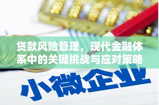 南州贷款风险管理，现代金融体系中的关键挑战与应对策略