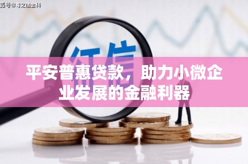 浠水平安普惠贷款，助力小微企业发展的金融利器