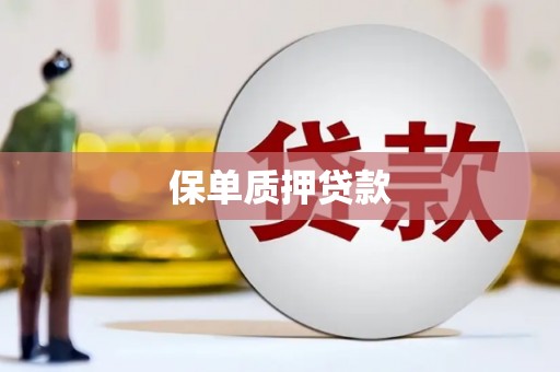 岱山保单质押贷款