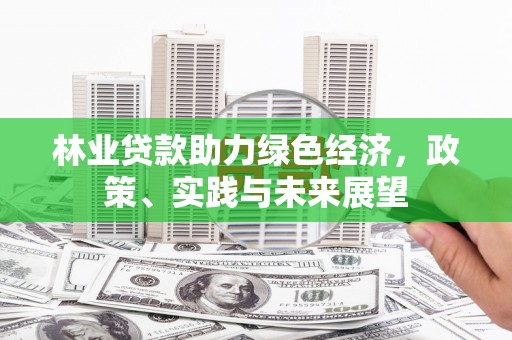 成县林业贷款助力绿色经济，政策、实践与未来展望