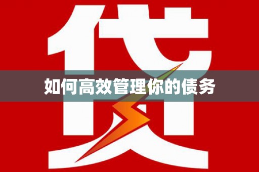 八宿如何高效管理你的债务