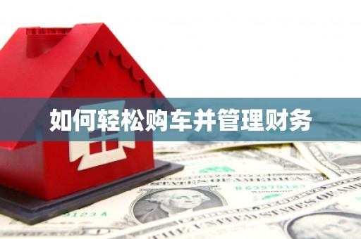 阳信如何轻松购车并管理财务