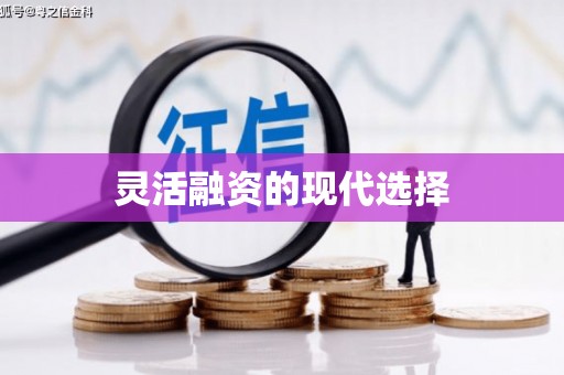 揭东灵活融资的现代选择