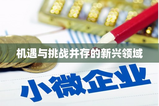 新泰机遇与挑战并存的新兴领域