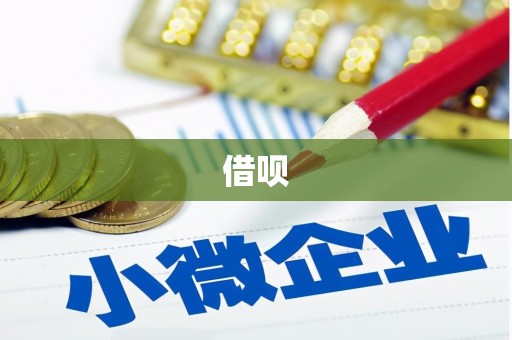 忻府借呗