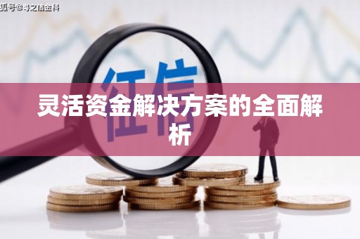 贞丰灵活资金解决方案的全面解析