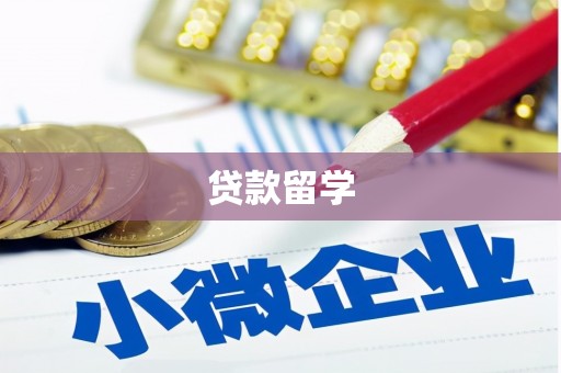 金湾贷款留学